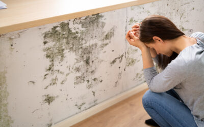 The Risks of Attempting Mold Removal on Your Own