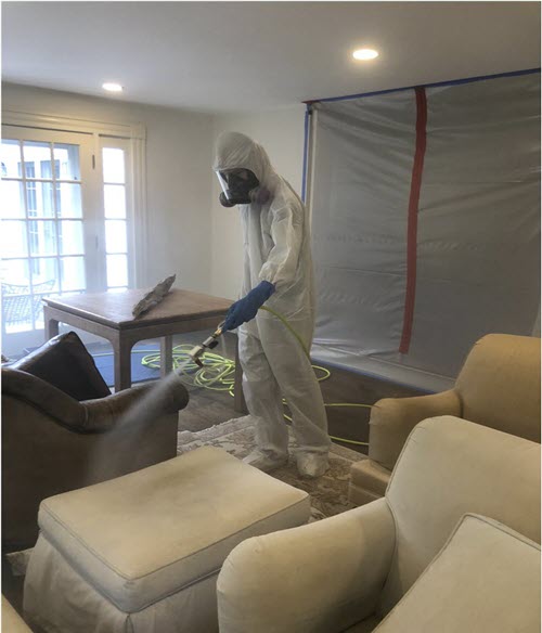 The Importance of Professional Disinfection for a Healthy Home