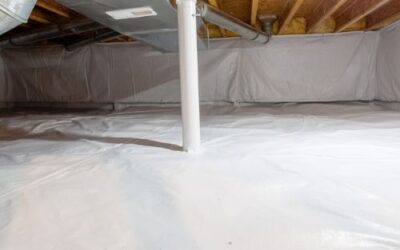 Uncovering the Hidden Threat: The Importance of Crawlspace Inspection