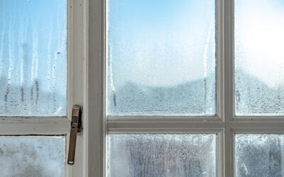 Why Humidity Control Matters for Winter Air Quality and Mold Prevention