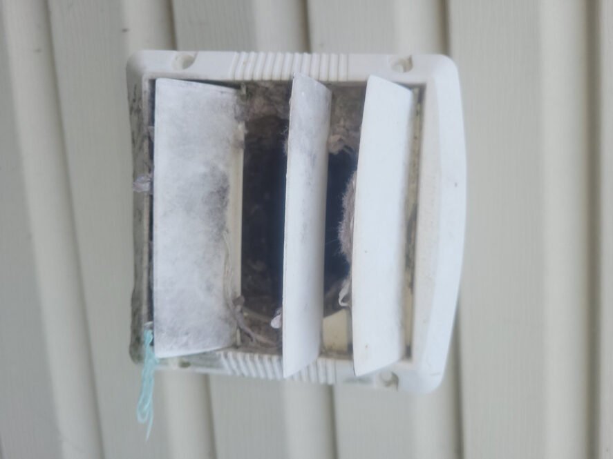 Clothes Dryer Lint