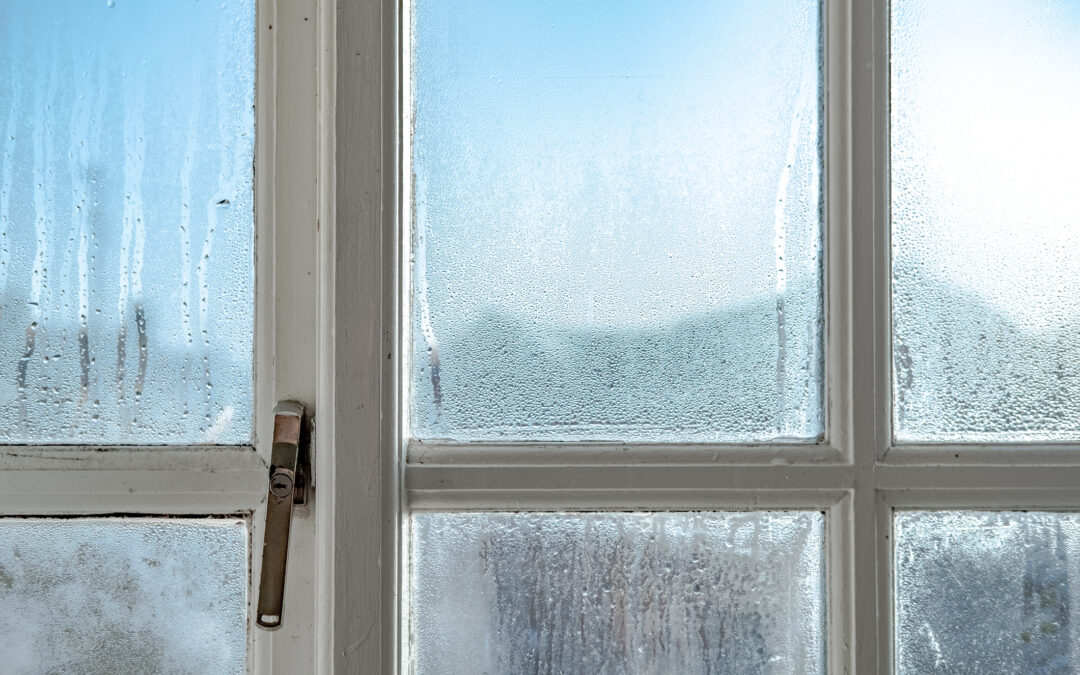 Why Humidity Control Matters for Winter Air Quality and Mold Prevention