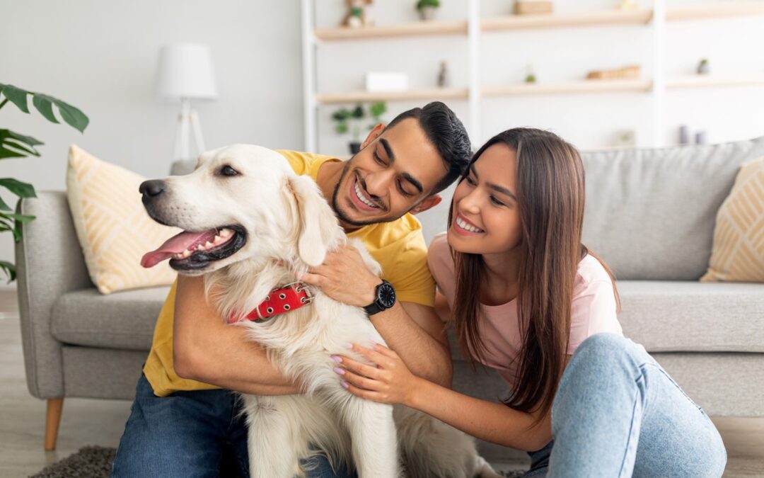 Freshen Up Your Home for the New Year with Our Pet Odor Removal Services