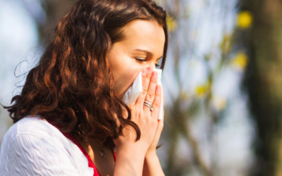 How to Banish Allergens from Your Home