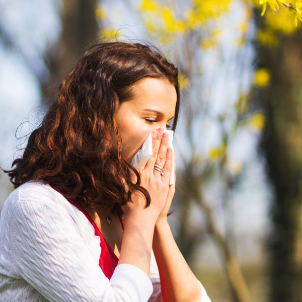 Lady in a white sweater outside under yellow leaves sneezing into a tissue because of allergies