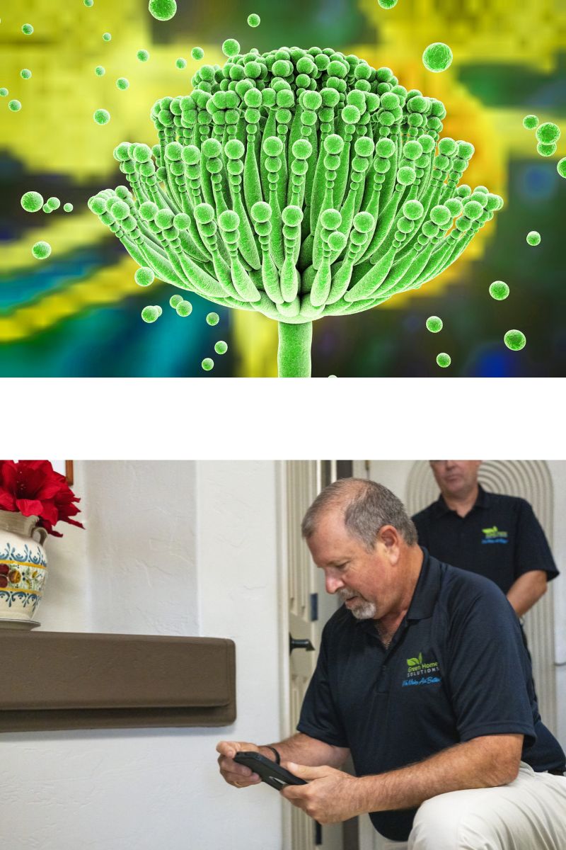 Close up of mold spores over an image of a Green Home Solutions professional performing an indoor quality air test. 