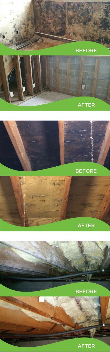 before and after photos of mold removal from walls, ceilings, and floors