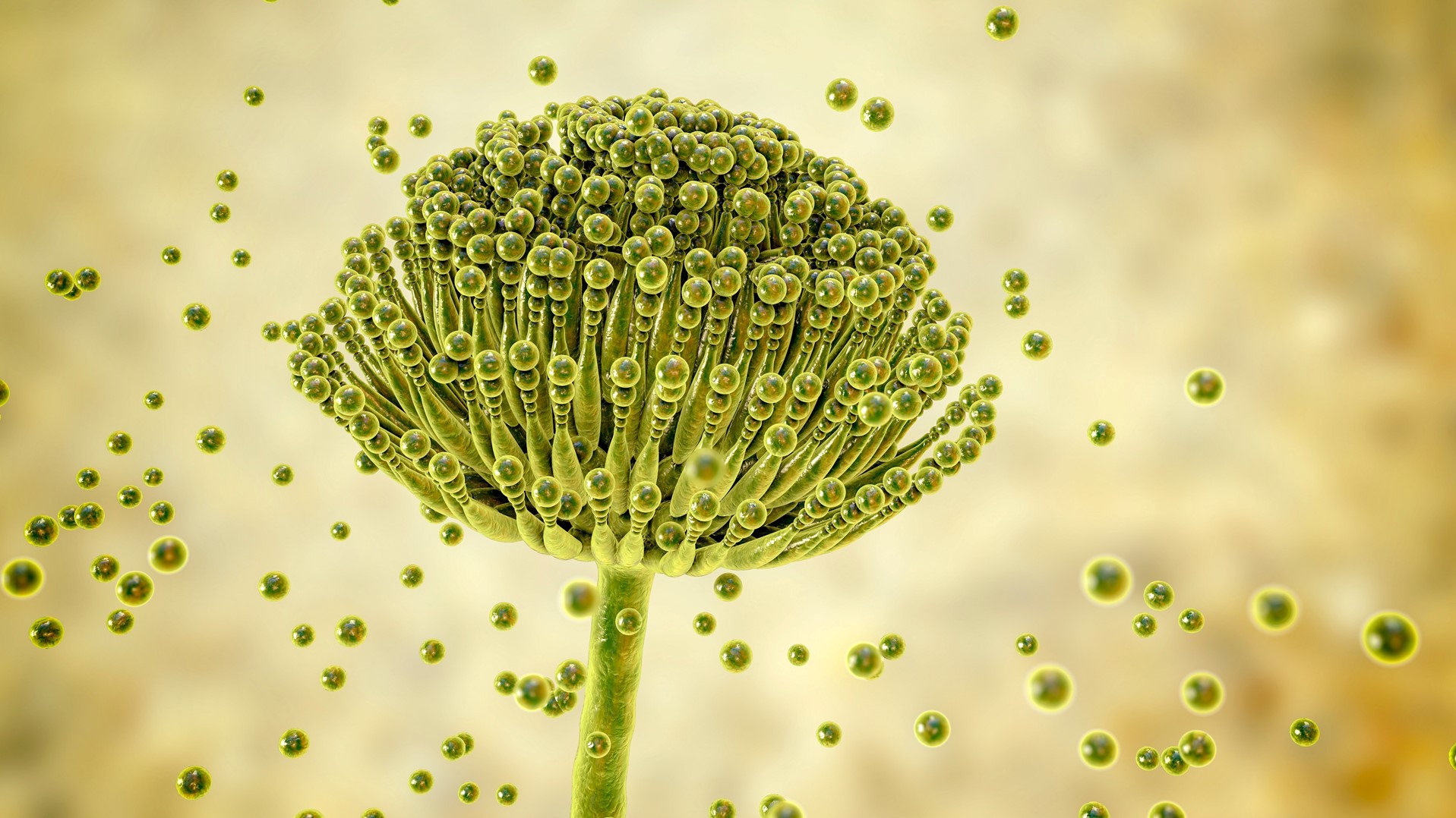 Digital depiction of an extreme closeup of black mold with spores floating around it 