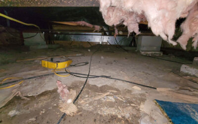 Why You Should Worry About Encapsulating Your Crawl Space